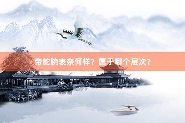 帝舵腕表奈何样？属于哪个层次？